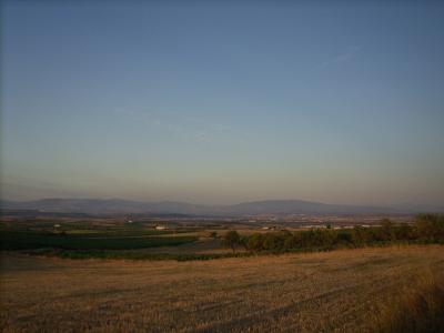 Viana