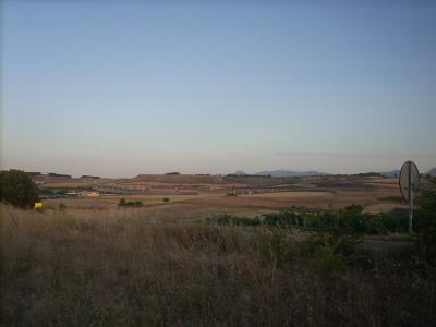 Viana