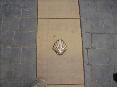 Redicilla Del Camino/fésűs kagyló az útburkolatban/