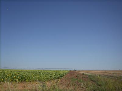 camino út/ locsolóberendezés/