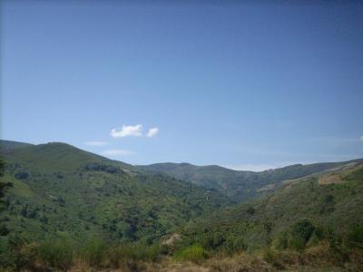 Camino út / útban a Cebreiro-ra/