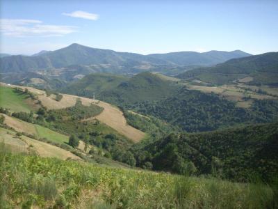 Camino út / útban a Cebreiro-ra/