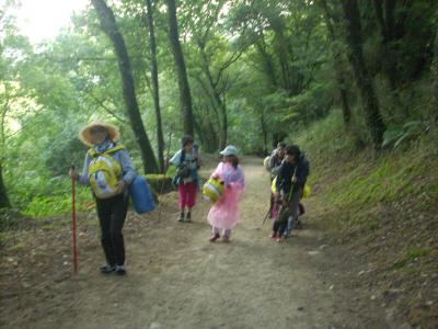 Camino út/ a camino utat erre már a turisták is igénybe veszik/