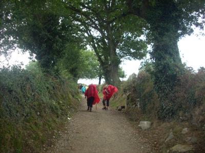 Camino út/ ahogy közeledünk Santiagohoz úgy egyre több a zarándok/