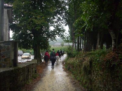 Camino út/ az élelmesebb szervezők lovas zarándoklatot is szerveznek az utolsó 100km-en.